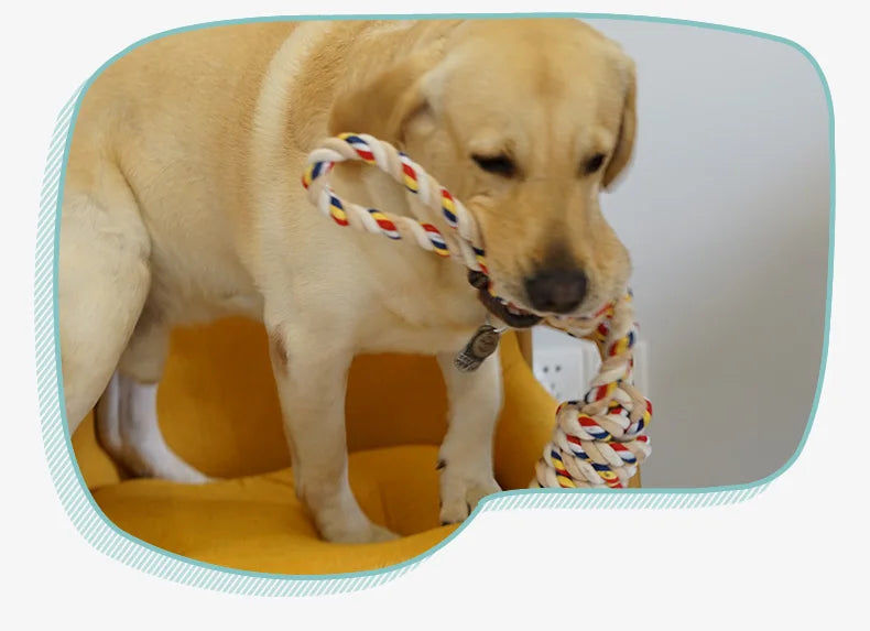 60CM Pets Rope Chew Toys for Dogs