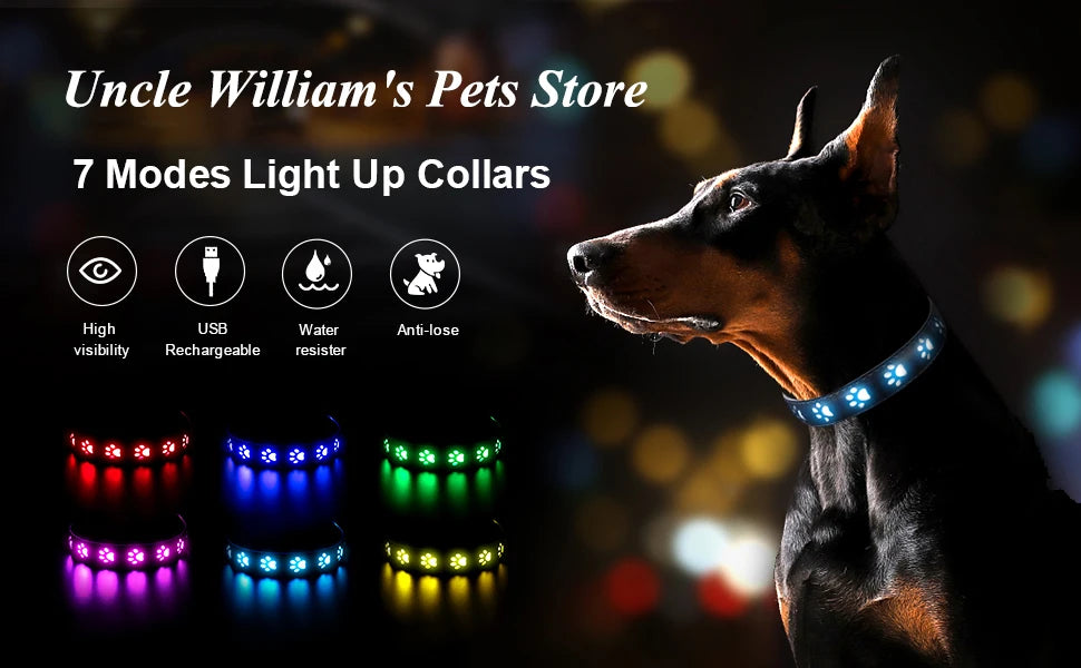 7 Modes Led Dog Collar Bone Colourful Light Luminous Dog Collar USB Chargeable Swimming Bright Night Pet Accessories