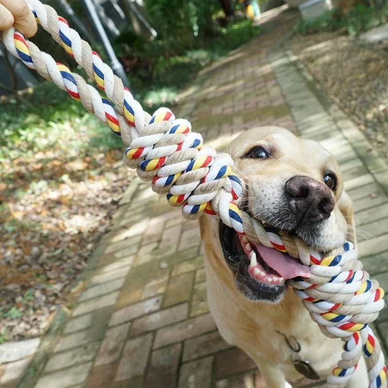 60CM Pets Rope Chew Toys for Dogs