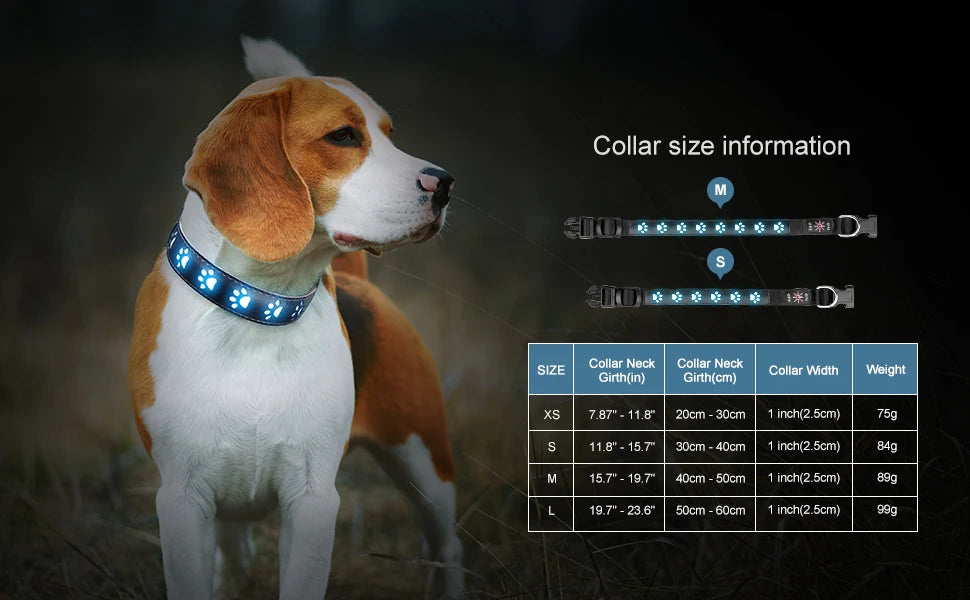 7 Modes Led Dog Collar Bone Colourful Light Luminous Dog Collar USB Chargeable Swimming Bright Night Pet Accessories