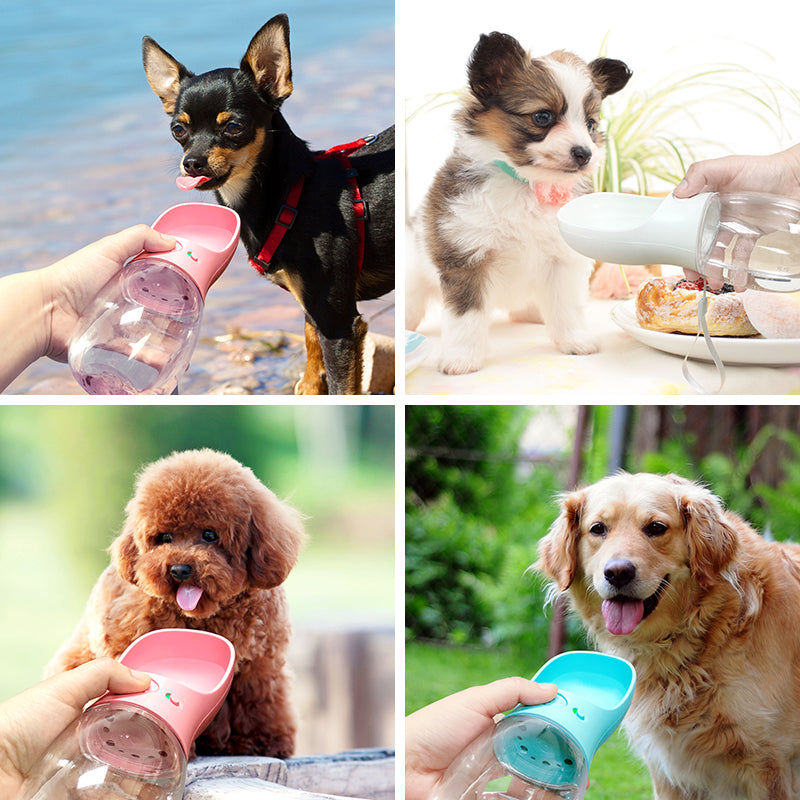 Dogs Go Out Water Bottle Pet Dog Accessories Portable Outdoor Water Feeding Dog Drinking Water Drinking Water Drinking Cup Pet C