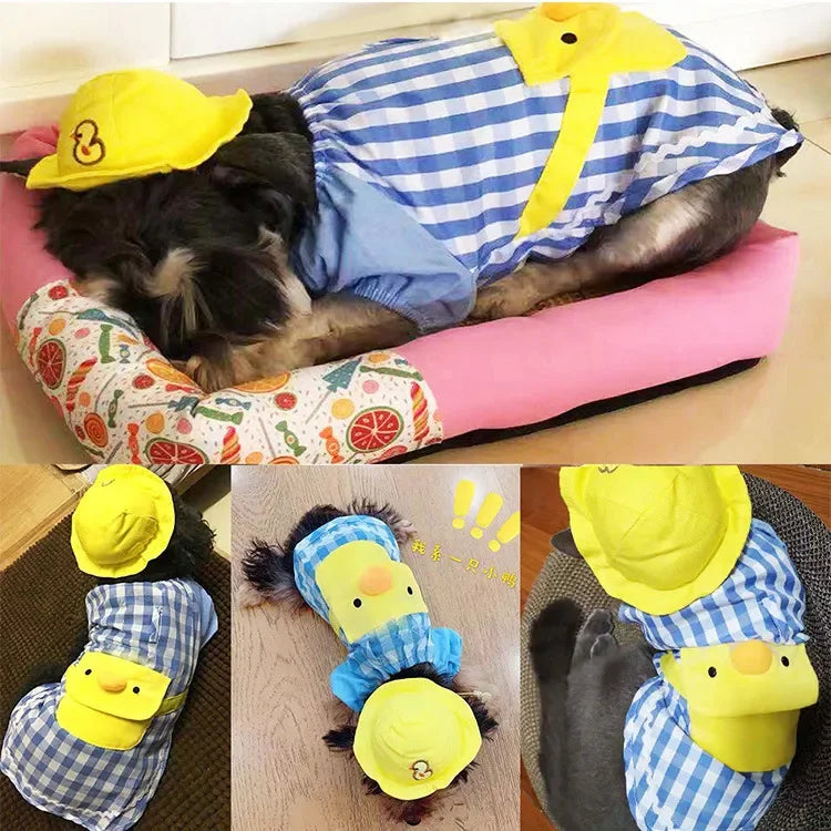 Cartoon Pet Clothes Hoodie Set for small dog Chihuahua cute soft breathable fashion Teddy dog wear Cat Bag Sweatshirt with Hole