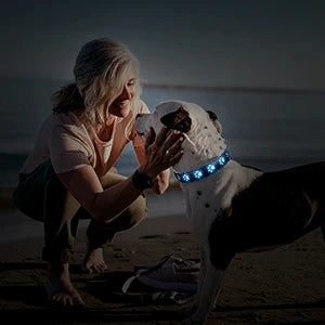 7 Modes Led Dog Collar Bone Colourful Light Luminous Dog Collar USB Chargeable Swimming Bright Night Pet Accessories