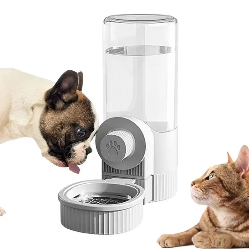 Automatic Cat Feeder Water Bottle Cat Bowl Auto Feeder For Pet  Cat Dog Dry Food Accessories Water Dispenser Pet Feeding Bowl