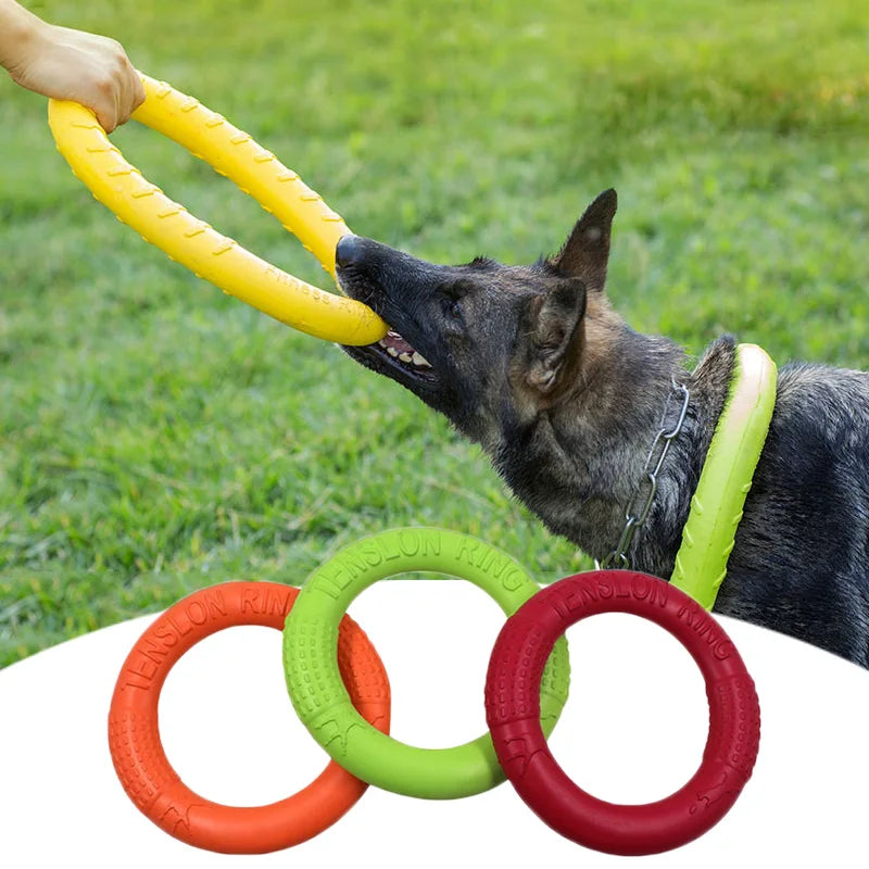 Pet Flying Disk Dog Toy 