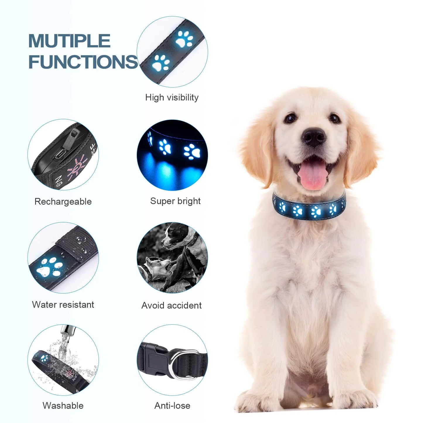 7 Modes Led Dog Collar Bone Colourful Light Luminous Dog Collar USB Chargeable Swimming Bright Night Pet Accessories