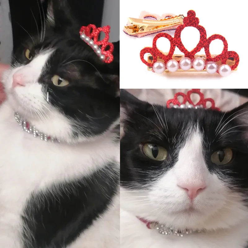 1PC Cute Pet Dog Hair Clips Small Dogs Faux Pearl Crown Shape Bows Hair Clips Cat Hair Grooming Headdress Pet Accessoires